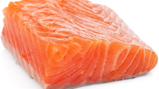 Salmon 